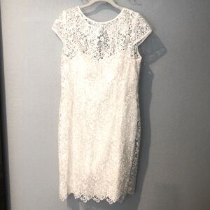 Beautiful Adrianna Papell Dress